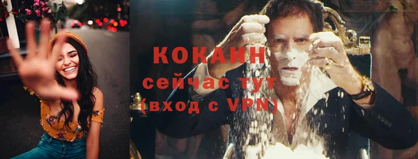 эйфоретик Вяземский